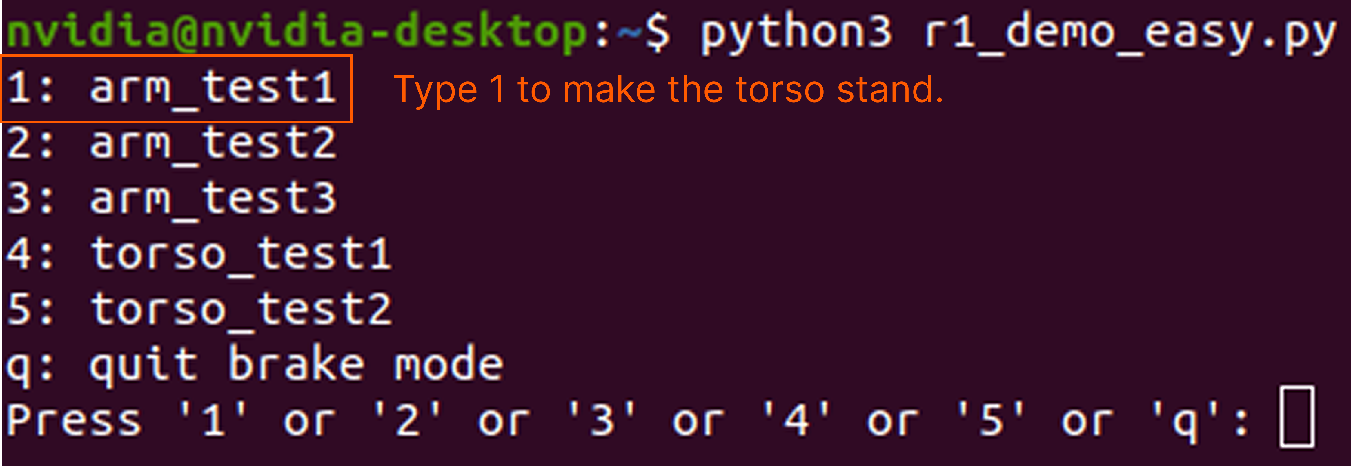 R1_4.5.3_demo