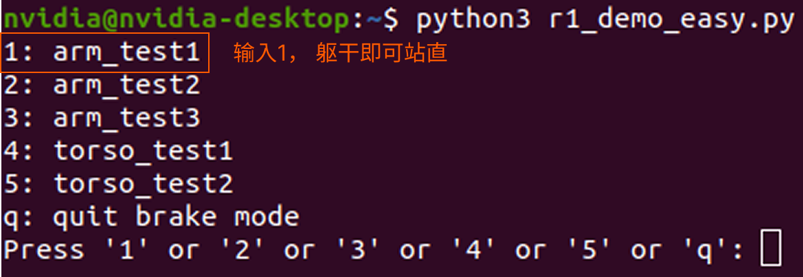 R1_4.5.3_demo_cn