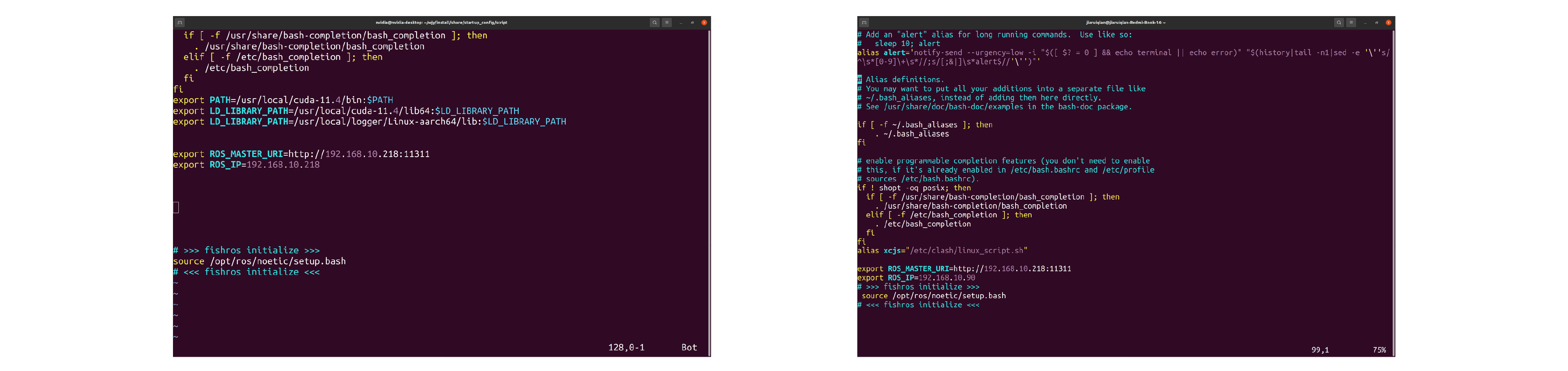 R1_Lite_bashrc_cn