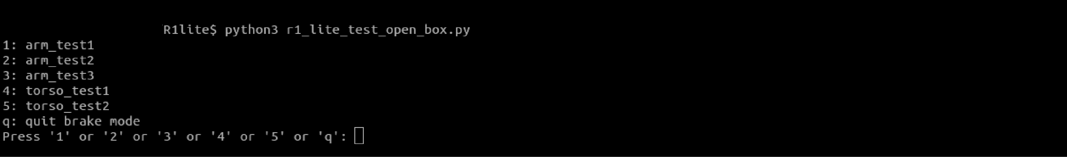 R1_Lite_demo_test_cn
