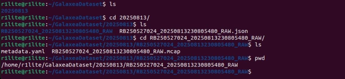 R1_Lite_data_collection