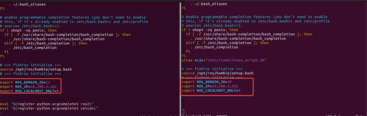 R1_Lite_bashrc_cn