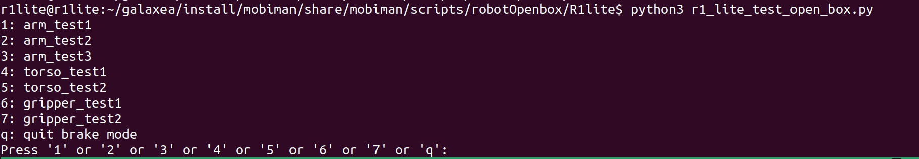 R1_Lite_demo_test_cn